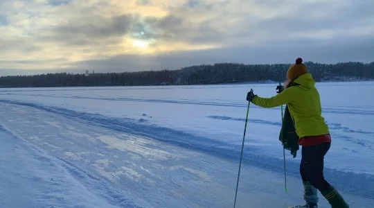 北欧のクリスマス